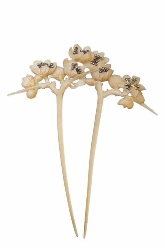 peigne-fleur-de-prunelier-gaillard